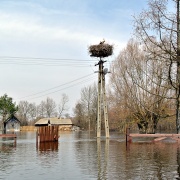 Powódź nad Bugiem - wiosna 2013