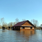 Powódź 2013 nad Bugiem - okolice Mościc Dolnych.